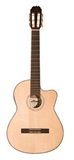 Study Flamenco Guitar - Alma G10